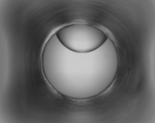 X0000088201192200705221716