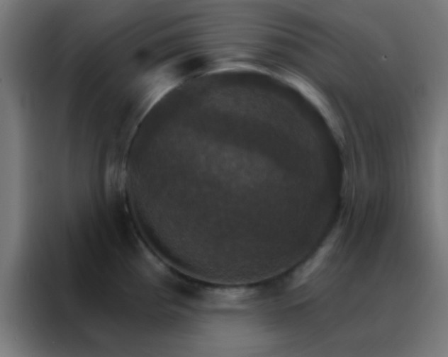 X0000088201193200705221716