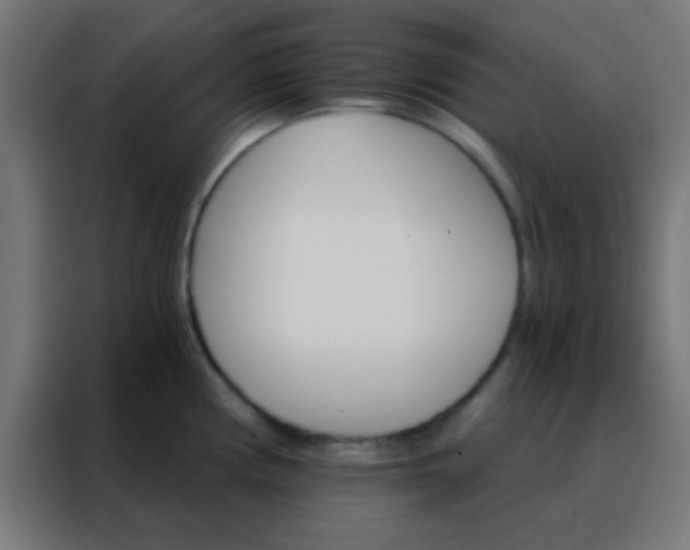 X0000088201194200705221716