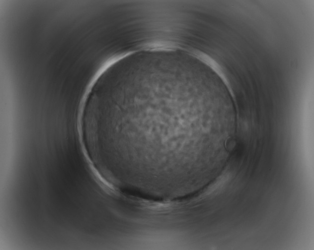 X0000088201195200705221716