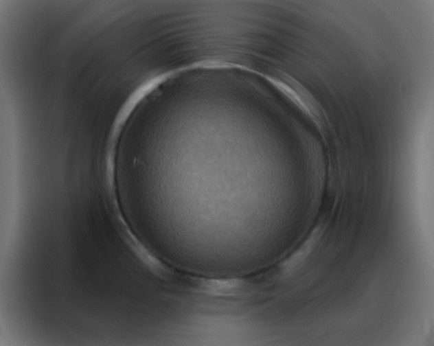 X0000088201196200705221716