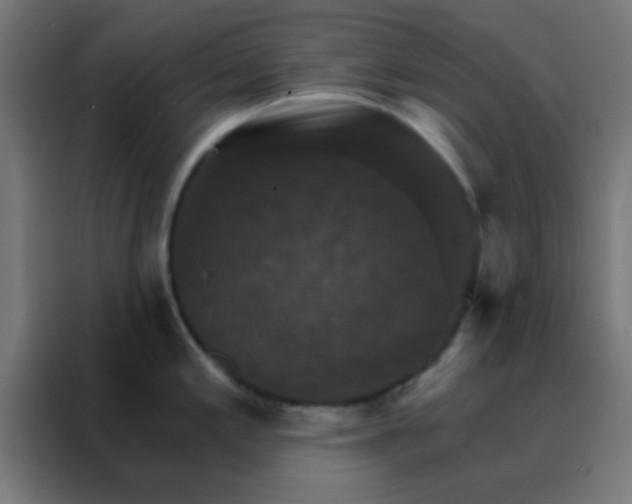X0000088201197200705221716