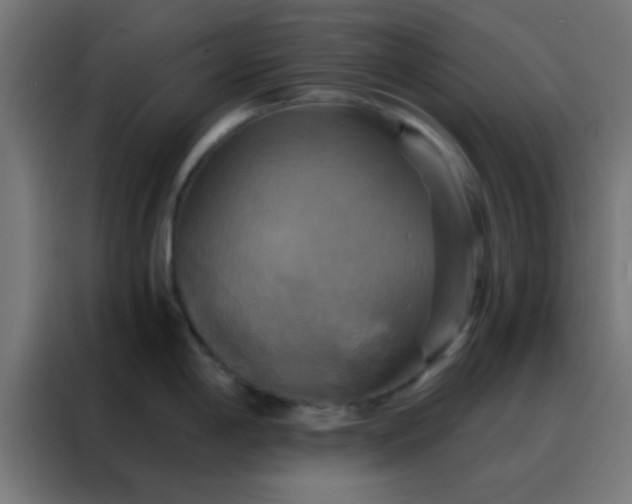 X0000088201198200705221716