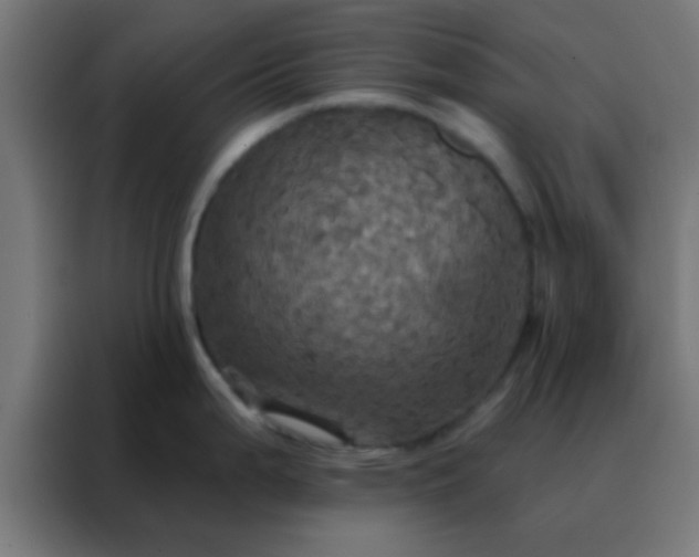 X0000088201199200705221716