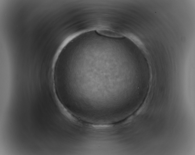 X0000088201200200705221716