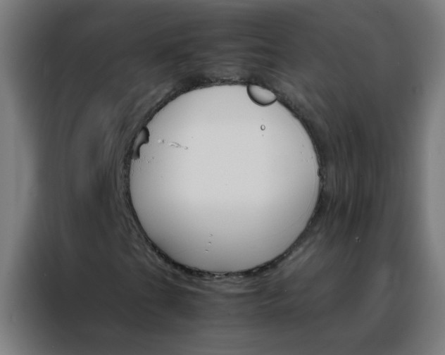 X0000088201201200705221716