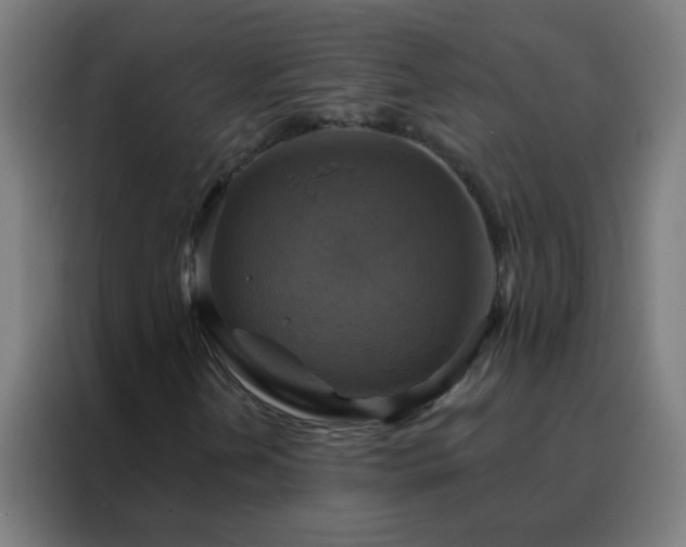 X0000088201202200705221716