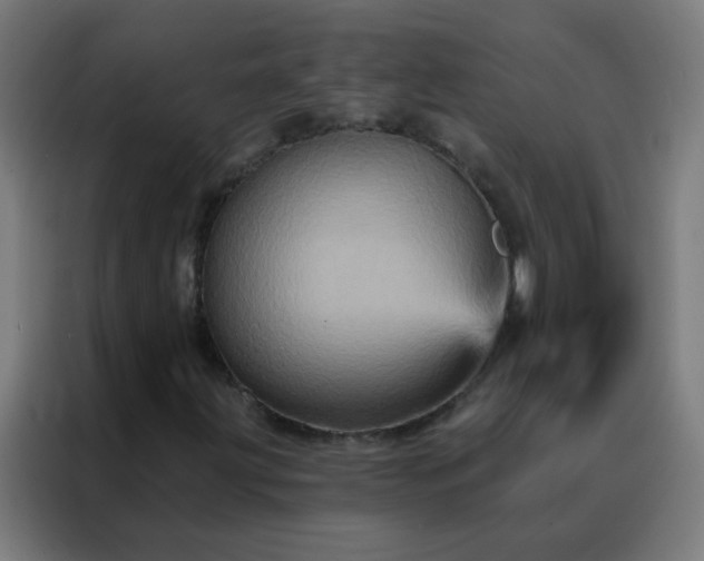 X0000088201203200705221716
