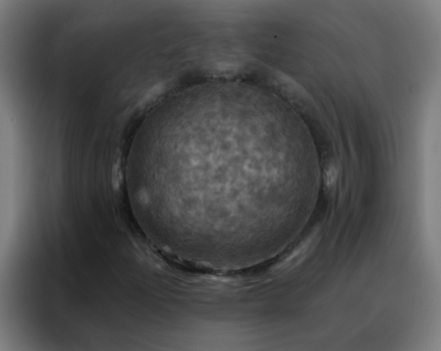 X0000088201204200705221716