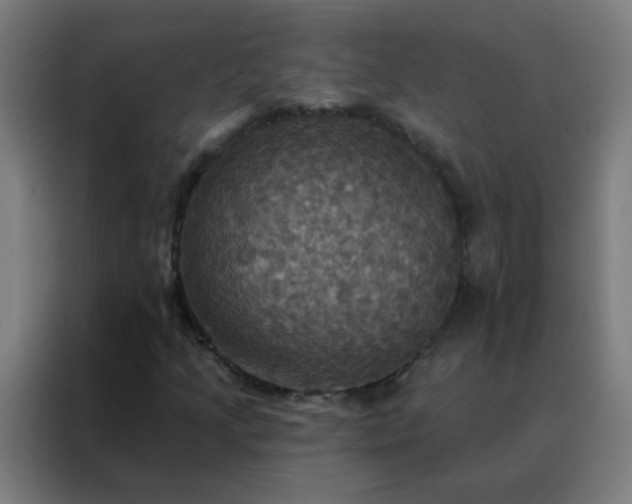 X0000088201205200705221716