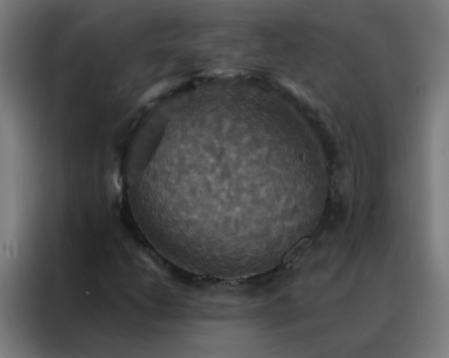 X0000088201206200705221716