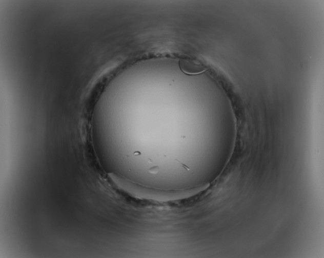 X0000088201207200705221716