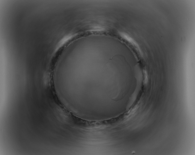 X0000088201208200705221716