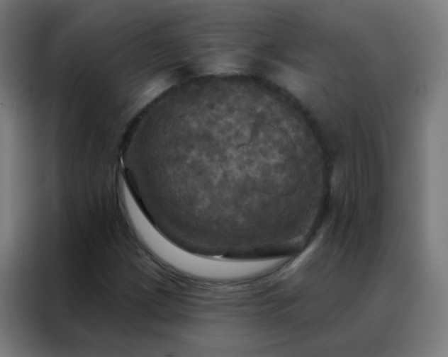 X0000088201209200705221716
