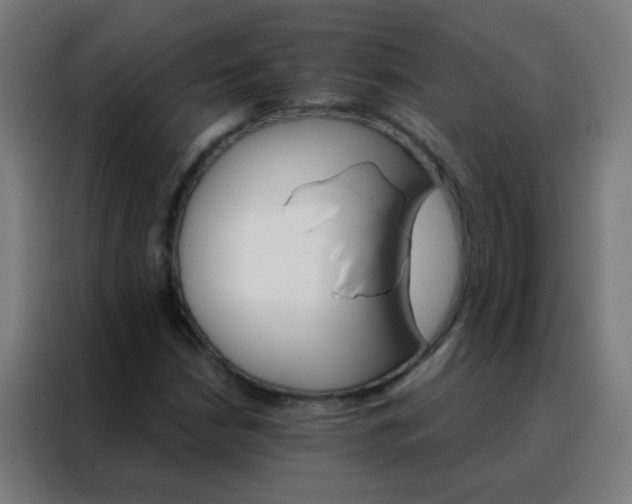 X0000088201210200705221716
