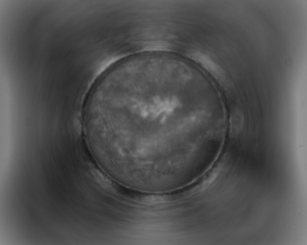 X0000088201212200705221716