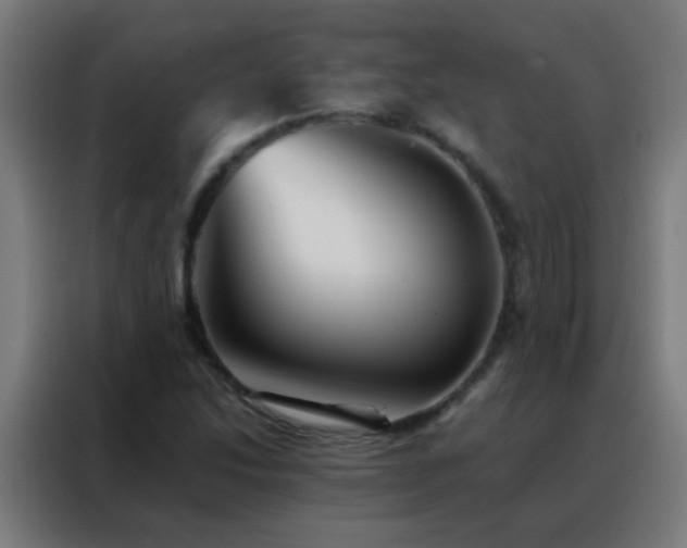 X0000088201214200705221716