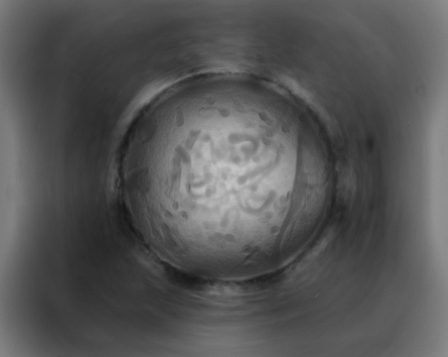 X0000088201215200705221716