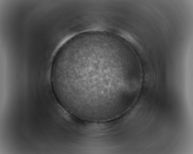 X0000088201216200705221716