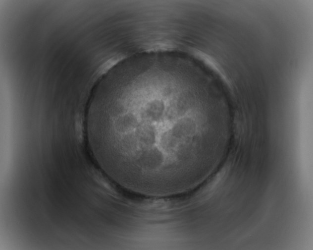 X0000088201217200705221716