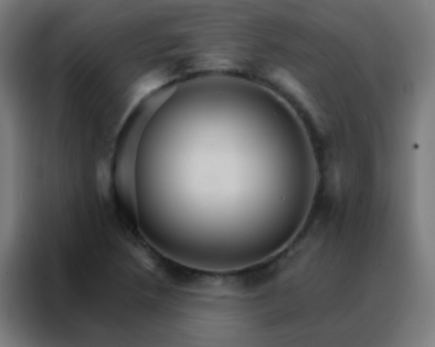 X0000088201218200705221716