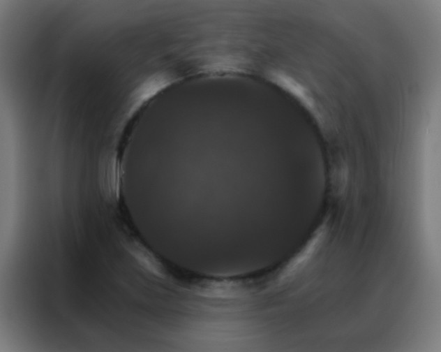 X0000088201219200705221716