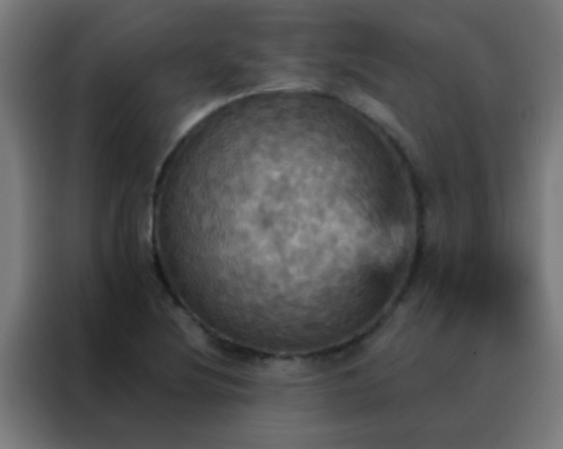 X0000088201220200705221716