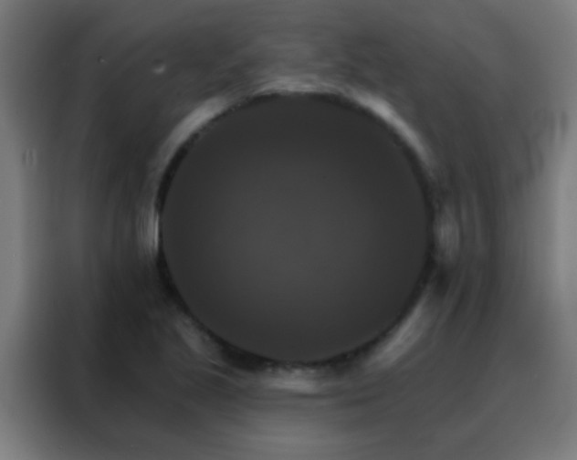 X0000088201221200705221716