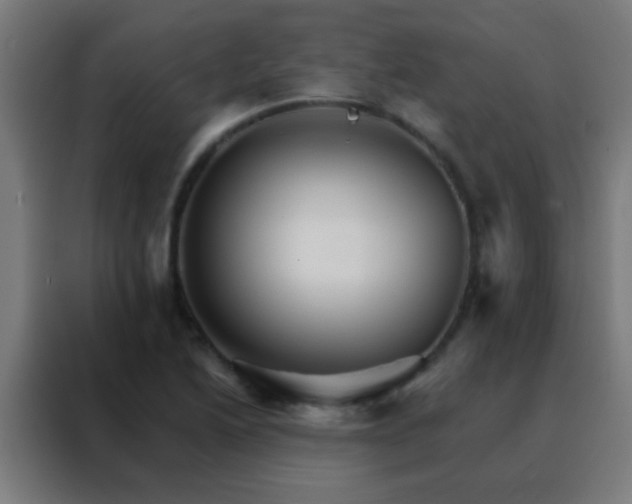 X0000088201222200705221716
