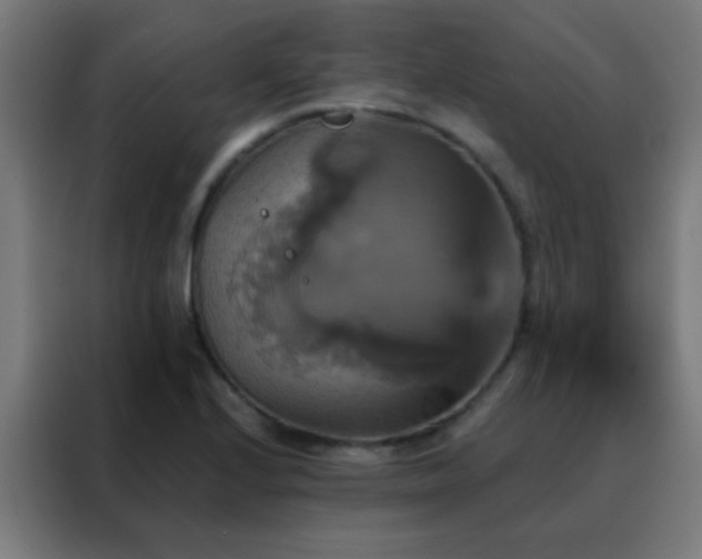 X0000088201224200705221716