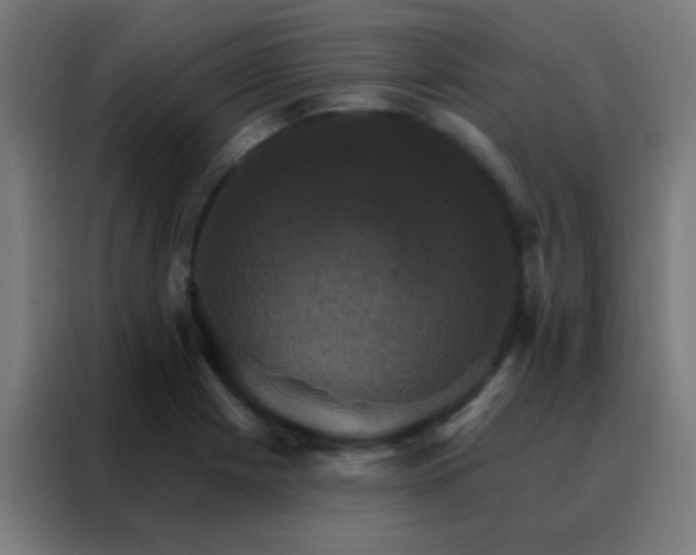 X0000088201225200705221716