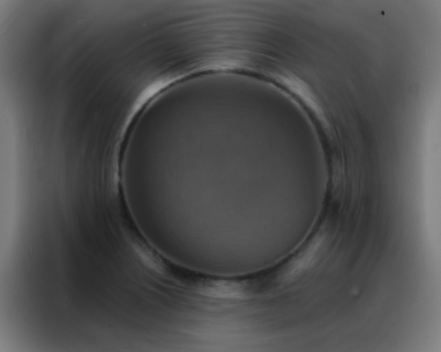 X0000088201226200705221716