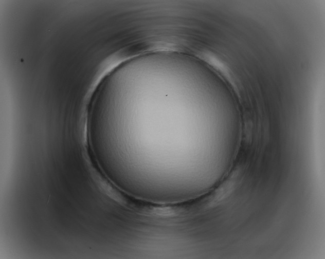 X0000088201227200705221716