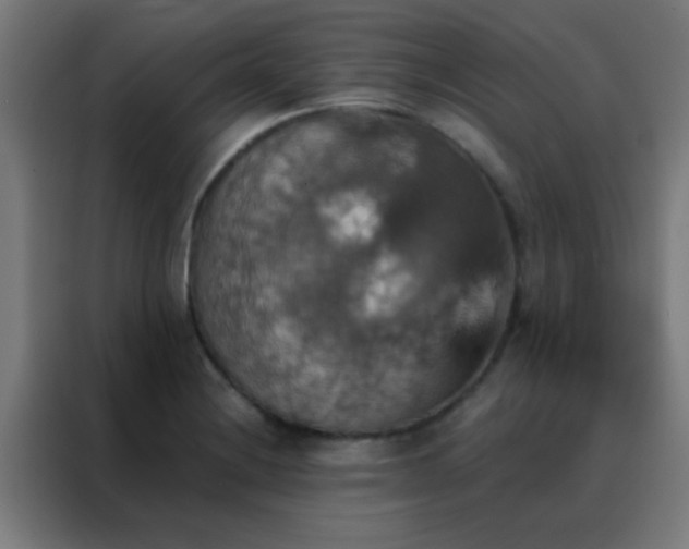 X0000088201228200705221716