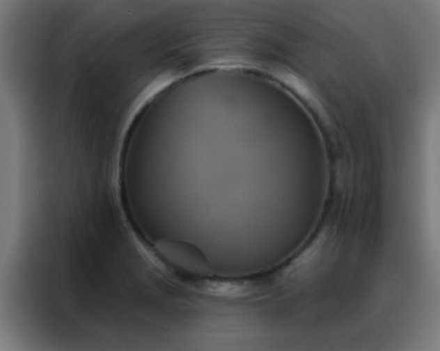 X0000088201229200705221716