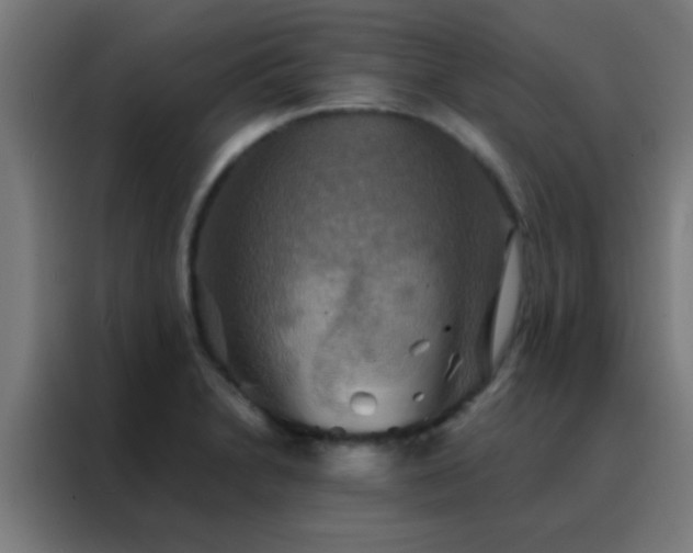 X0000088201230200705221716