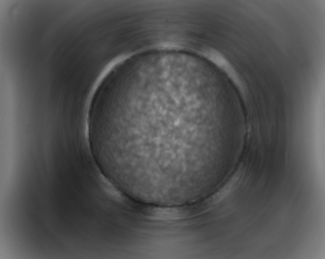X0000088201232200705221716