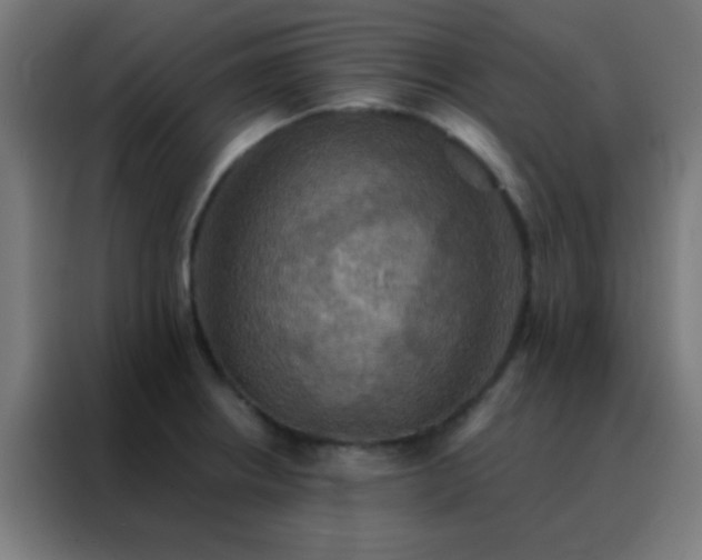 X0000088201234200705221716