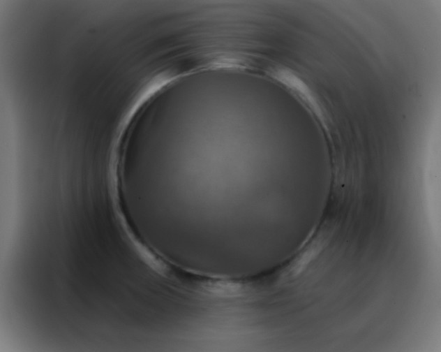 X0000088201235200705221716