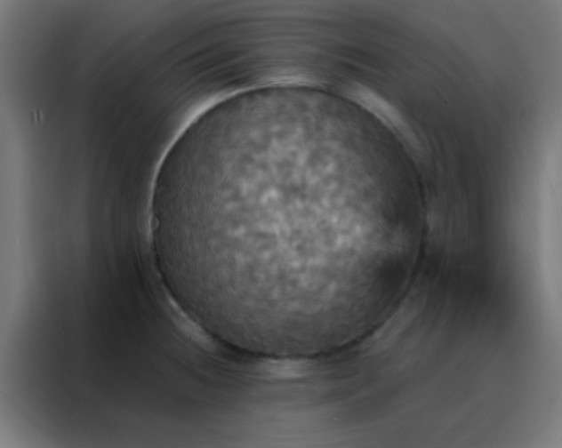 X0000088201236200705221716