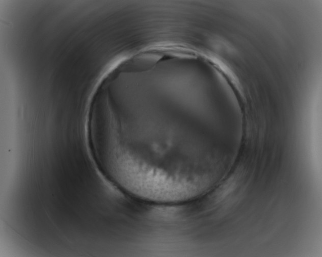 X0000088201237200705221716