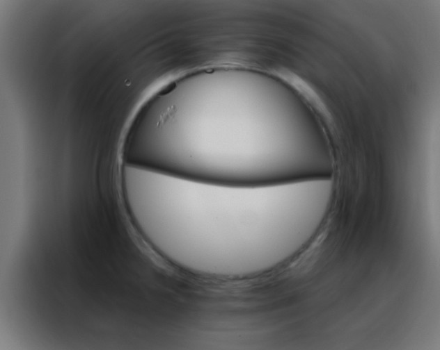 X0000088201238200705221716