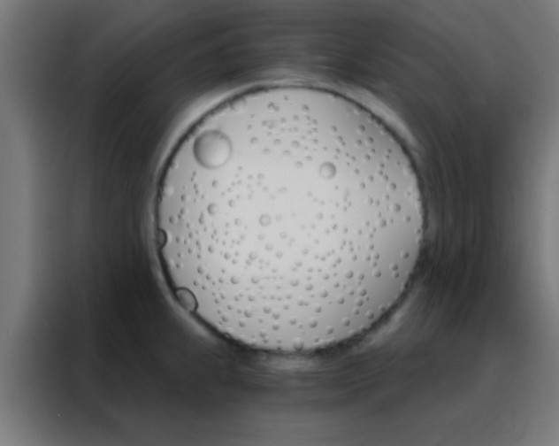 X0000088201239200705221716