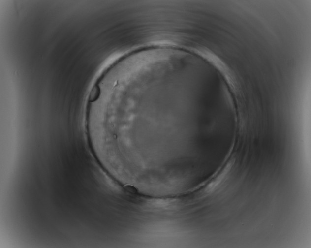 X0000088201240200705221716
