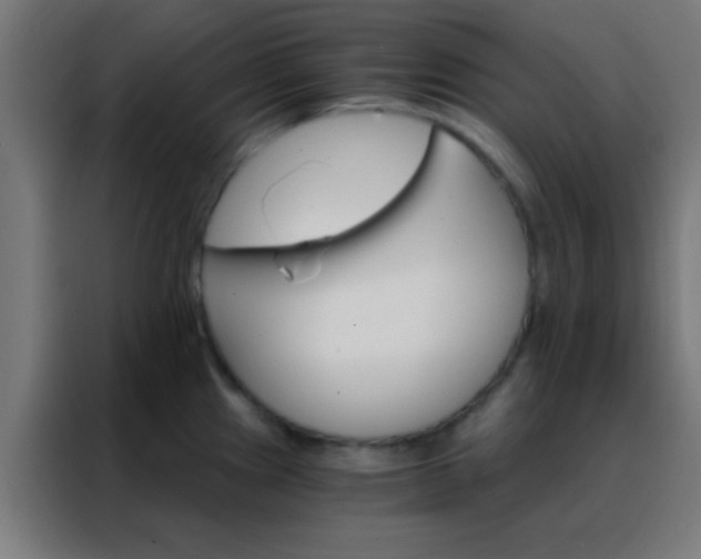 X0000088201241200705221716