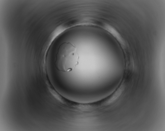 X0000088201242200705221716
