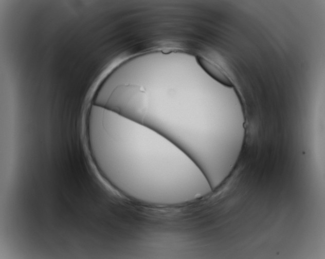 X0000088201243200705221716