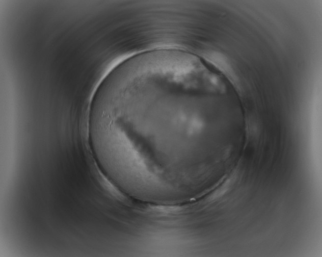 X0000088201244200705221716