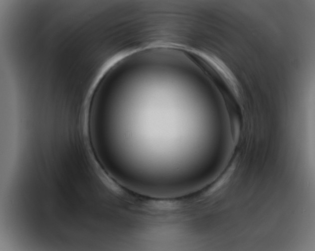 X0000088201246200705221716
