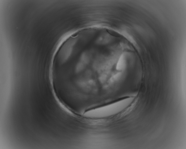 X0000088201247200705221716